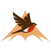 cropped-robin-rentals-logo5-transparent.png